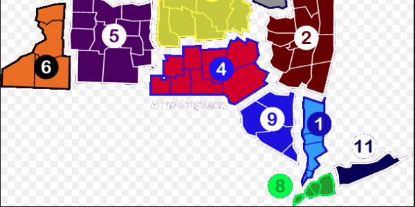 NYsections